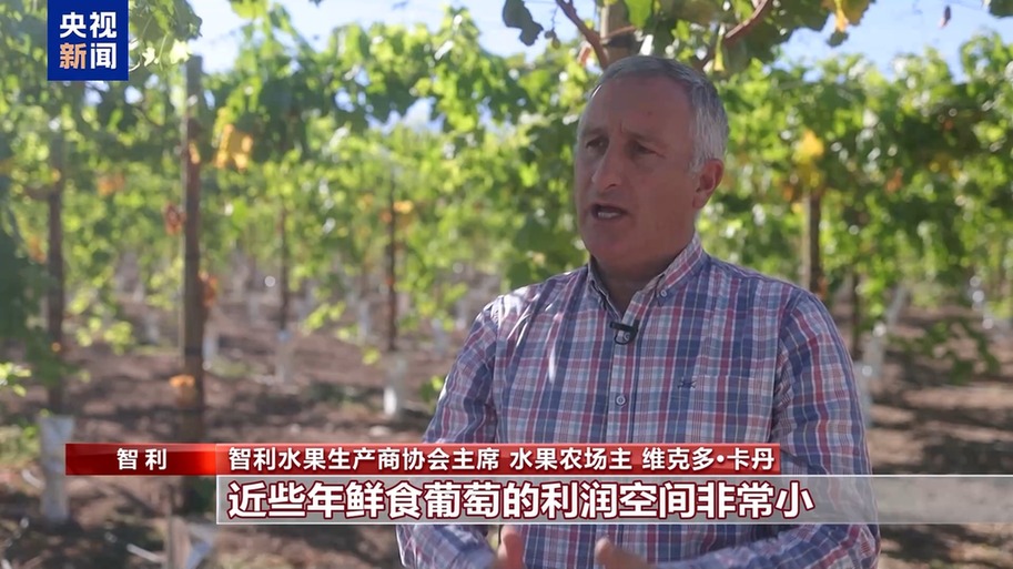 水果棘手的关税 智利水果产业“愁”冰球突破技巧总台记者探访丨应季的