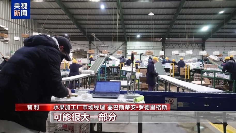水果棘手的关税 智利水果产业“愁”冰球突破技巧总台记者探访丨应季的(图2)