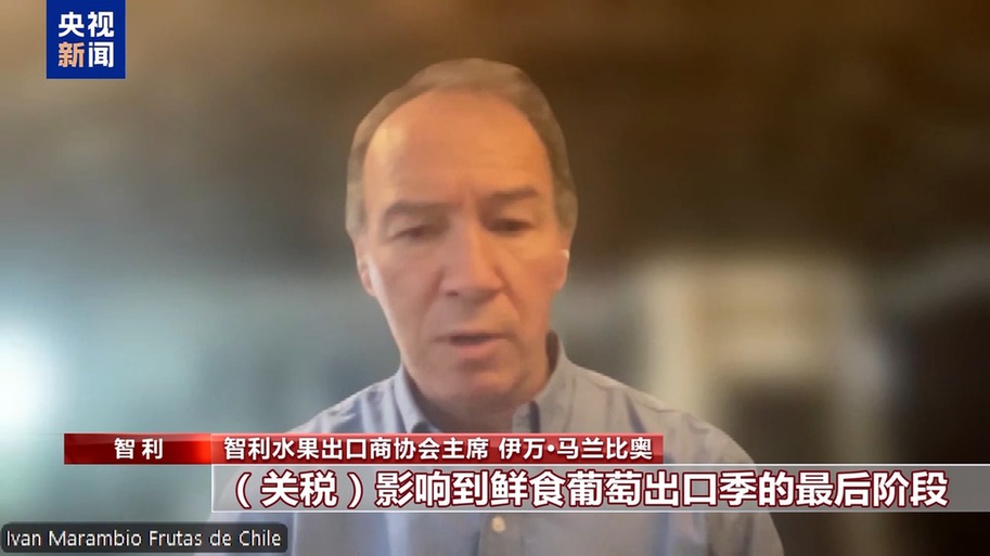 水果棘手的关税 智利水果产业“愁”冰球突破技巧总台记者探访丨应季的(图3)